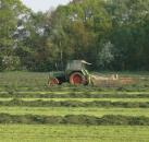 Heerlijke geur van vers gemaaid gras..