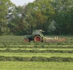 Heerlijke geur van vers gemaaid gras..