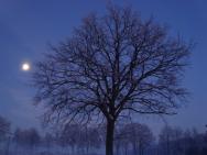 Geniet van het winterlandschap bij de Heische hoeve